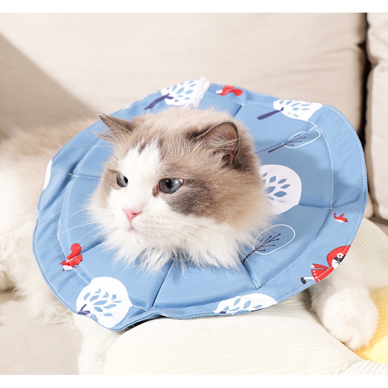 2 Pcs Size M Blue Comfortable Pet Recovery Collar | Waterproof Anti-Lick Collar for Cats & Dogs