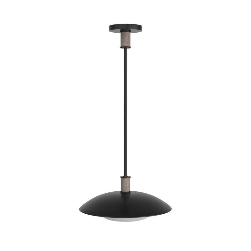Arteriors DSI03 Tobias One Light Pendant Blackened Iron