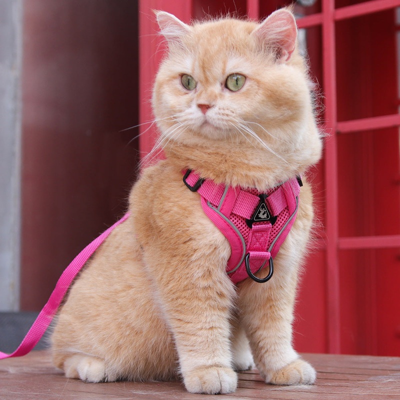 Rose Red Reflective Mesh Dog Harness and Leash Set – Adjustable No-Pull Vest – M