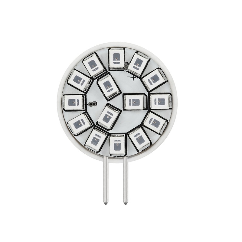 2 Watt G4 LED, 30  Lumens, G4 Bi Pin base, 12 Volt Light Bulb by Emery Allen