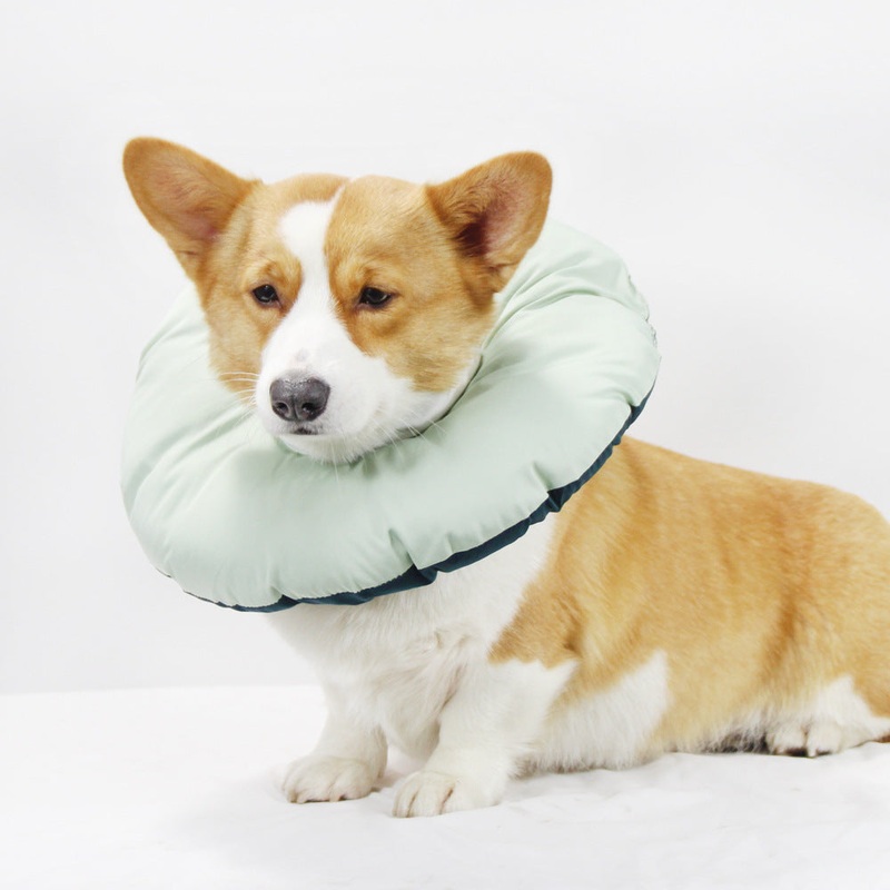 Green Adjustable Soft Elizabethan Collar for Pets – Comfortable Recovery Aid – XL