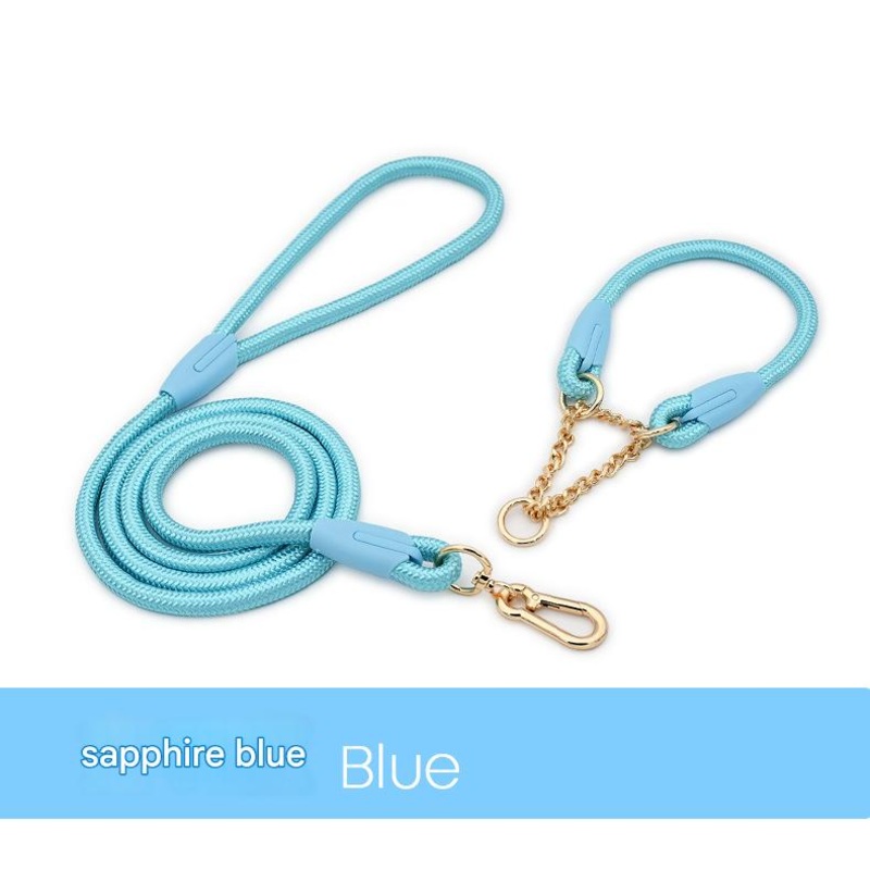 Blue Durable Nylon P-Collar Dog Training Set – Heavy Duty Leash & Martingale Collar (Size : L)
