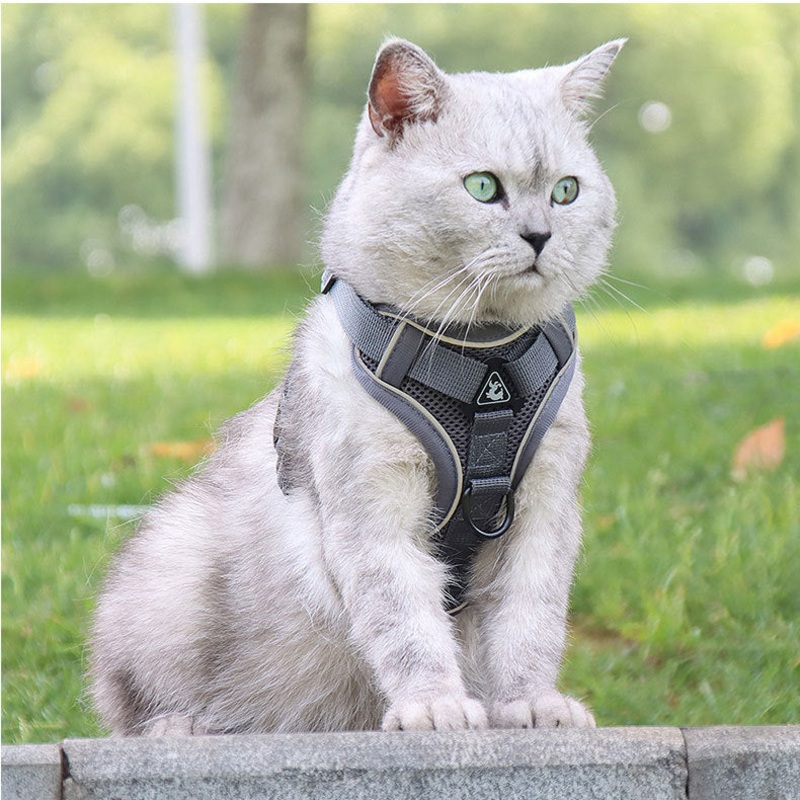 Grey Reflective Mesh Dog Harness and Leash Set – Adjustable No-Pull Vest – L